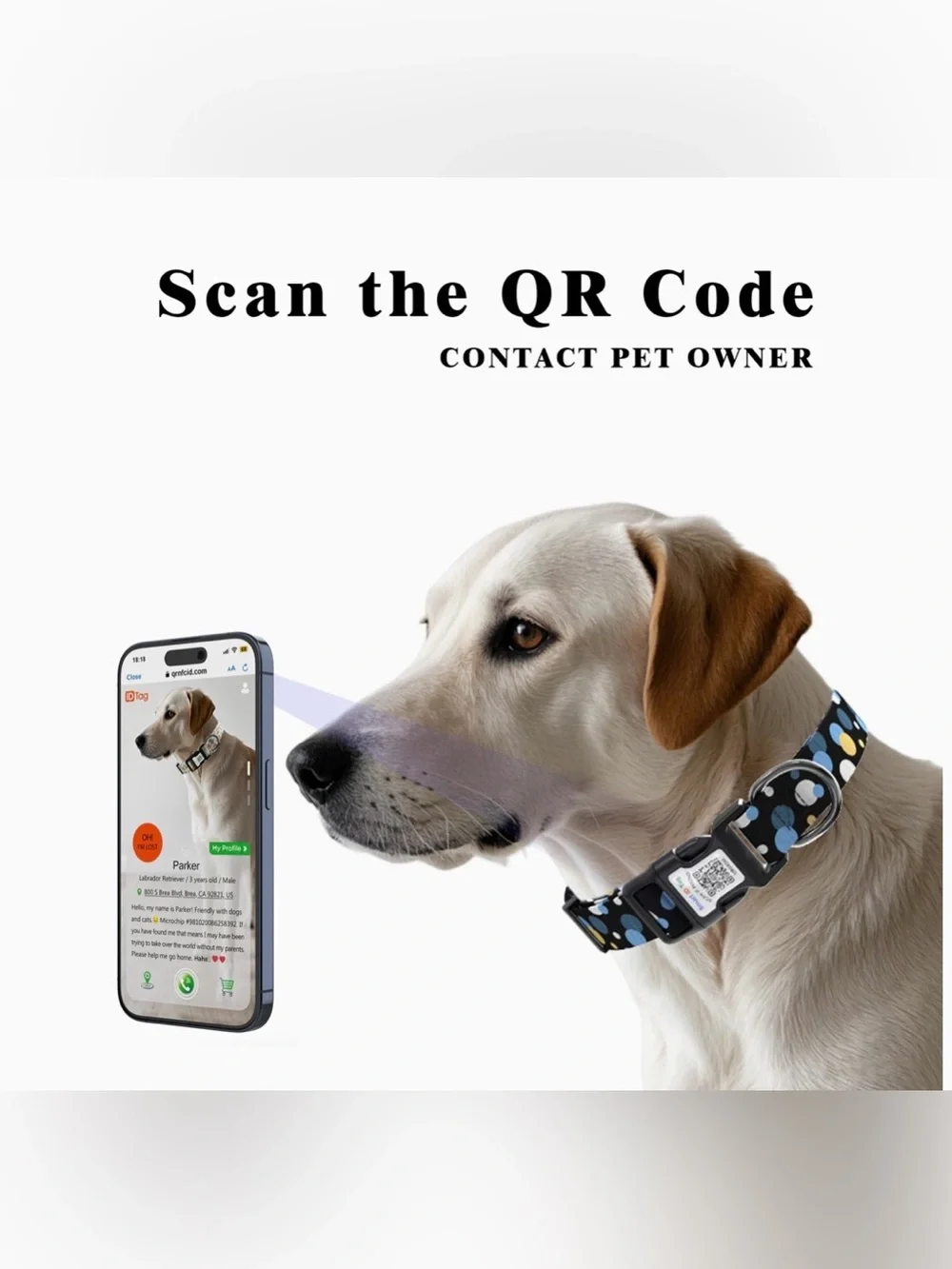 Smart ID Tag Polka Dot Dog Collar - Black with Blue, White & Tan Dots